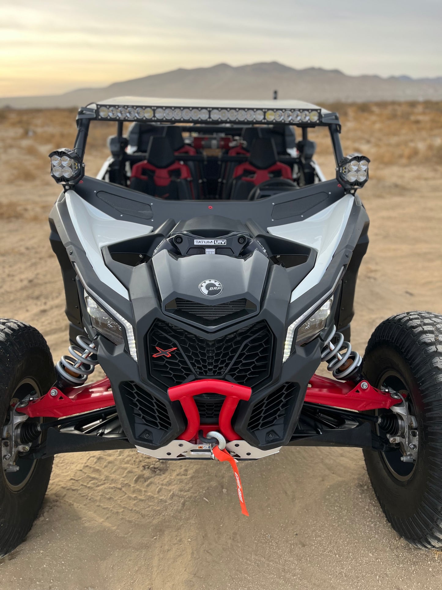 CAN-AM X3 MAX CAGE